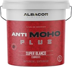 Mejor pintura resistente a la humedad para techos: comparativa