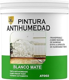 Pintura antihumedad para interior