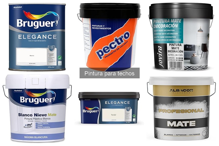 Alternativas a la pintura tradicional para techos