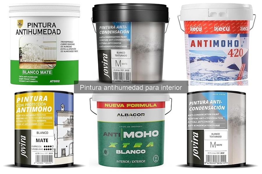 Alternativas Efectivas a la Pintura Antihumedad para Interiores