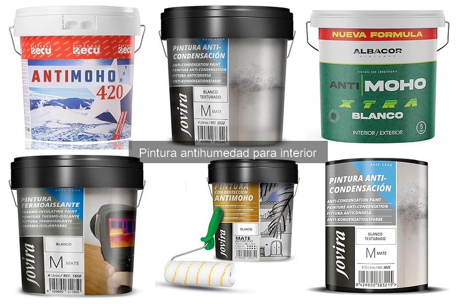 Cómo aplicar pintura antihumedad correctamente en interiores
