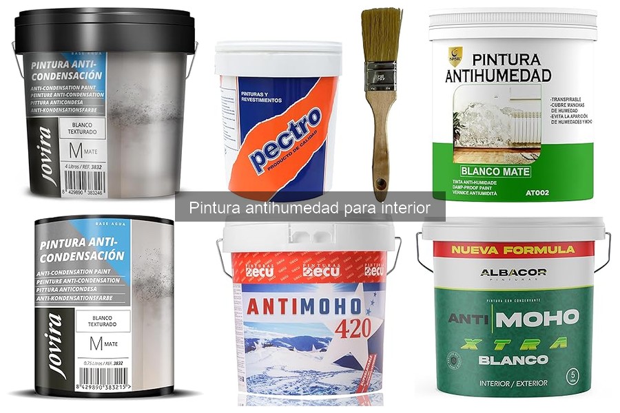 ¿Puedo usar pintura antihumedad en exteriores? Descúbrelo aquí