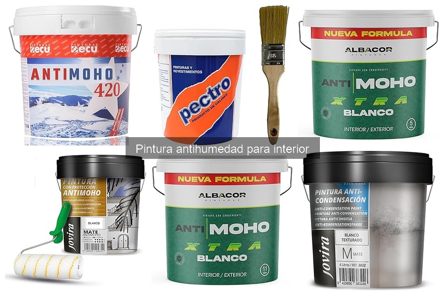 Testimonios sobre Pintura Antihumedad: ¿Funciona Realmente?