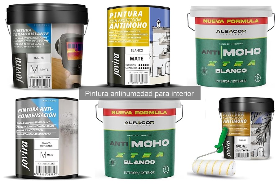 Tipos de pinturas antihumedad para interior: guía completa