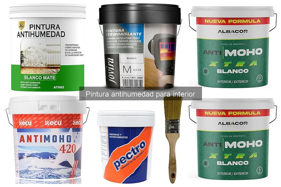 Todo sobre la pintura antihumedad para interior
